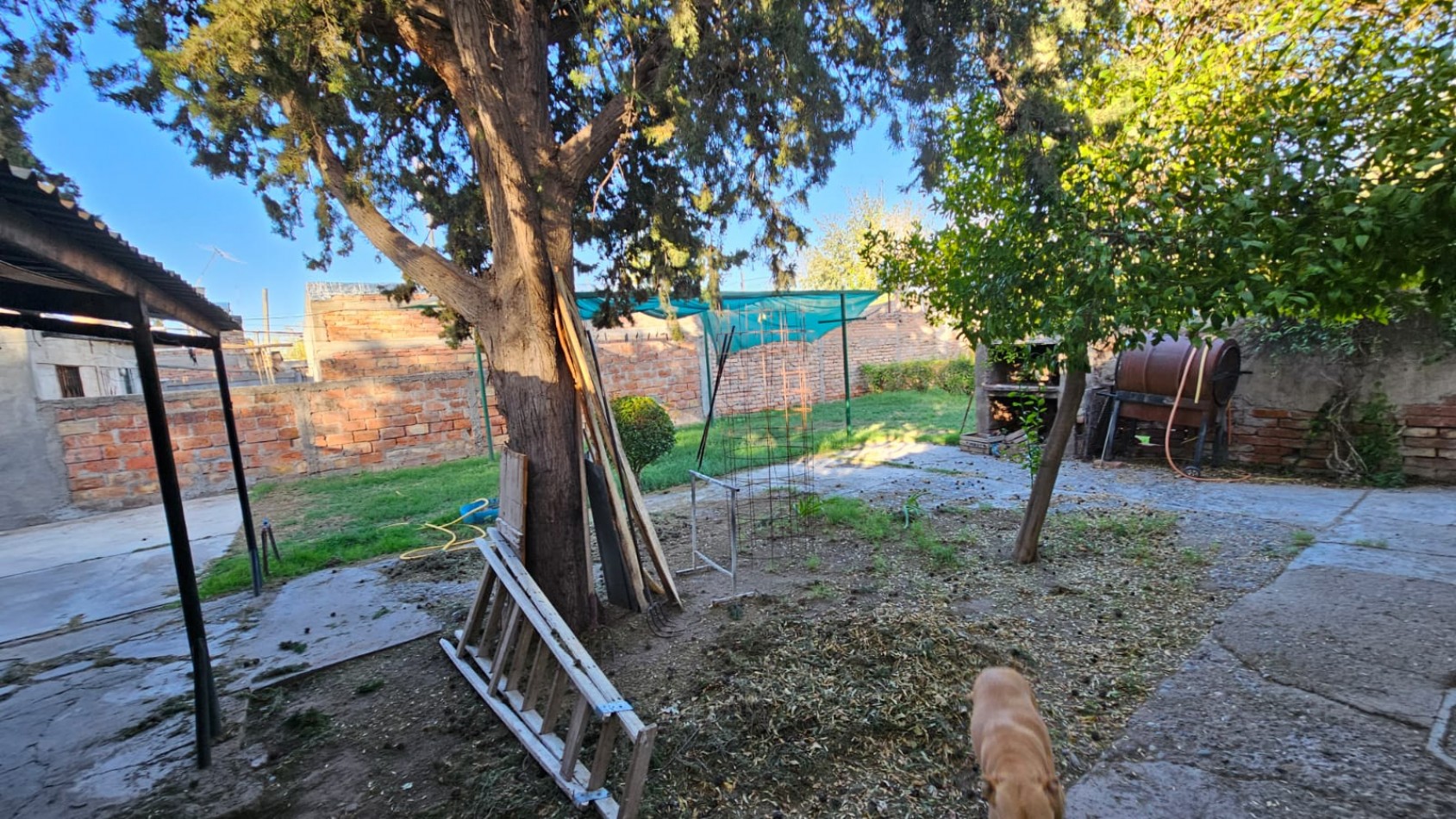 Vendo Casa Amplia y patio Sobre AVENIDA en San Rafael