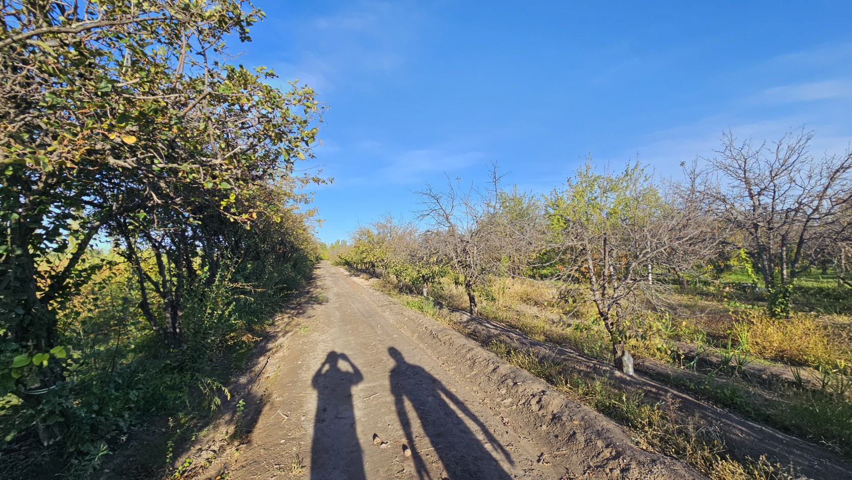 ¡Oportunidad unica en Rama Caida, San Rafael!¡Una propiedad excepcional en la zona de Rama Caida, a tan solo 6 km de San Rafael! Posibilidad de permuta. Casa+ Quincho+ Pileta+ Galpon+ plantacion+ Agua, luz y GAS