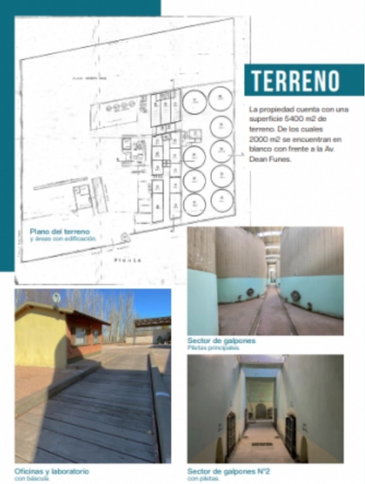 ¡Oportunidad Unica! Vendo Bodega en un punto privilegiado en San Rafael, Mendoza