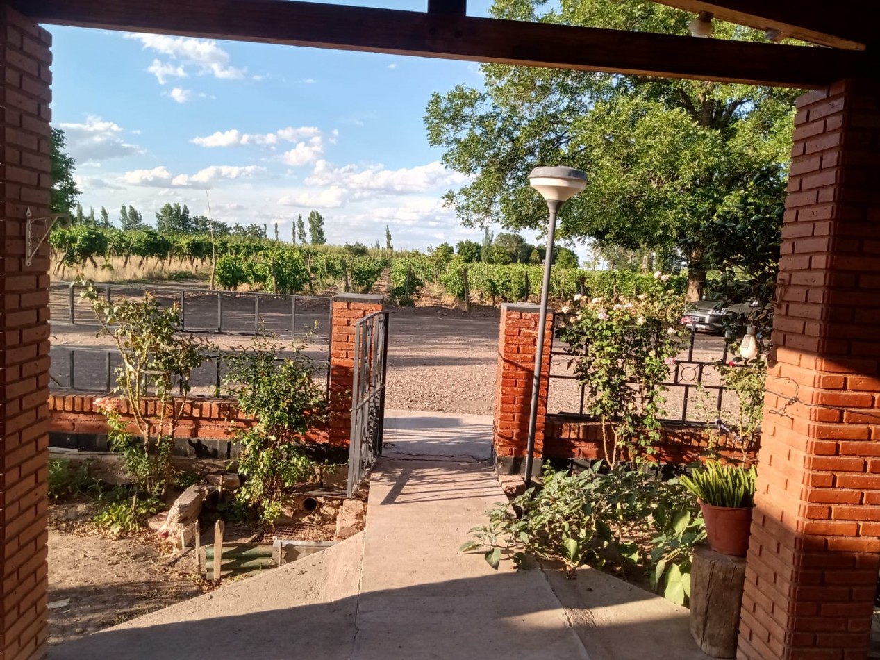 Vendo finca o campo de 28 has en Produccion, Casas, Galpones, Implementos, Riego en Atuel Norte. A 40 km de San Rafael. Mendoza