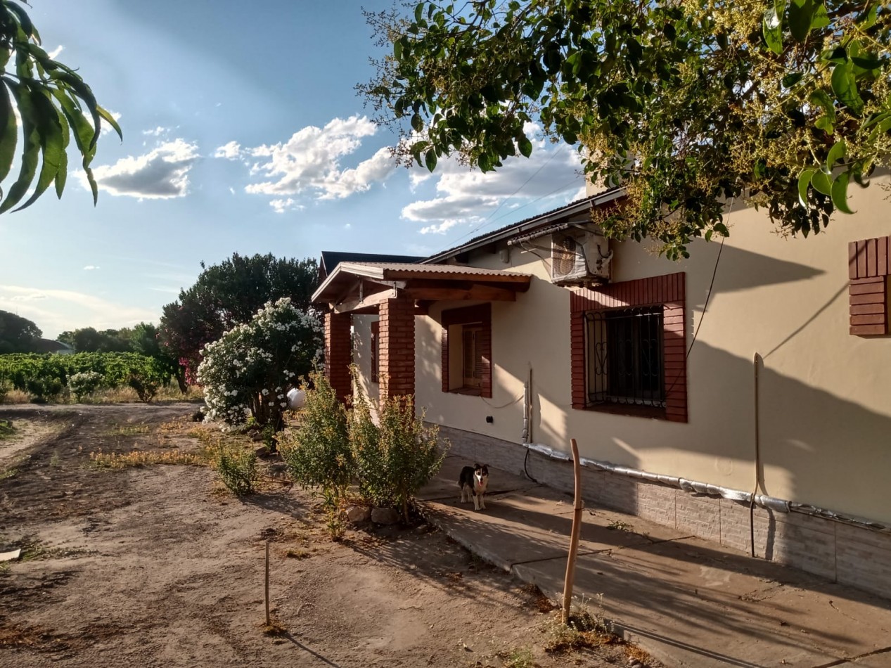 Vendo finca o campo de 28 has en Produccion, Casas, Galpones, Implementos, Riego en Atuel Norte. A 40 km de San Rafael. Mendoza