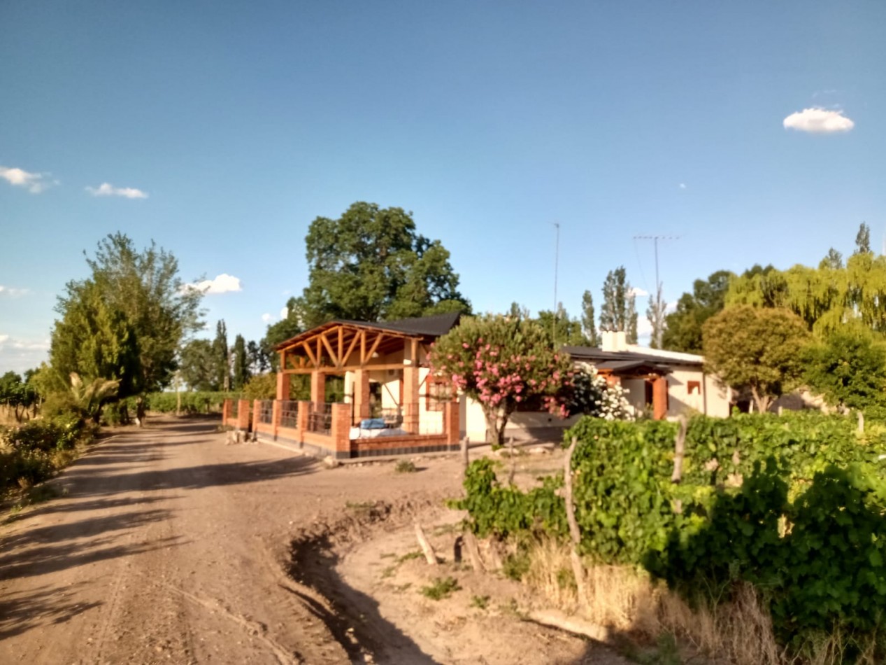 Vendo finca o campo de 28 has en Produccion, Casas, Galpones, Implementos, Riego en Atuel Norte. A 40 km de San Rafael. Mendoza