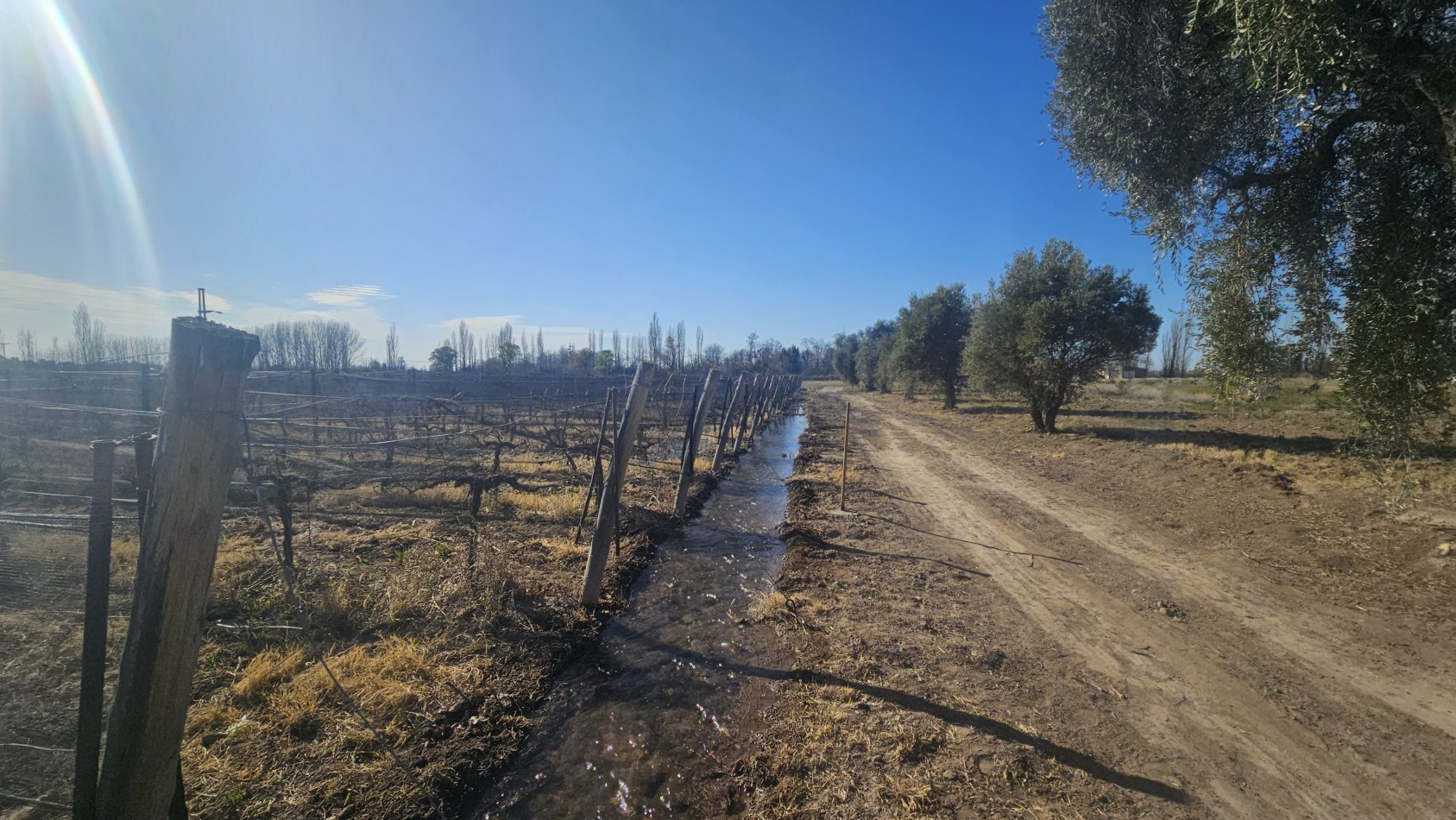Vendo finca de 20 has ideal vista y en produccion en San Rafaeln