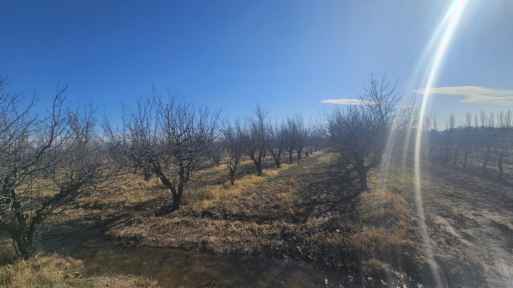 Vendo finca de 20 has ideal vista y en produccion en San Rafaeln