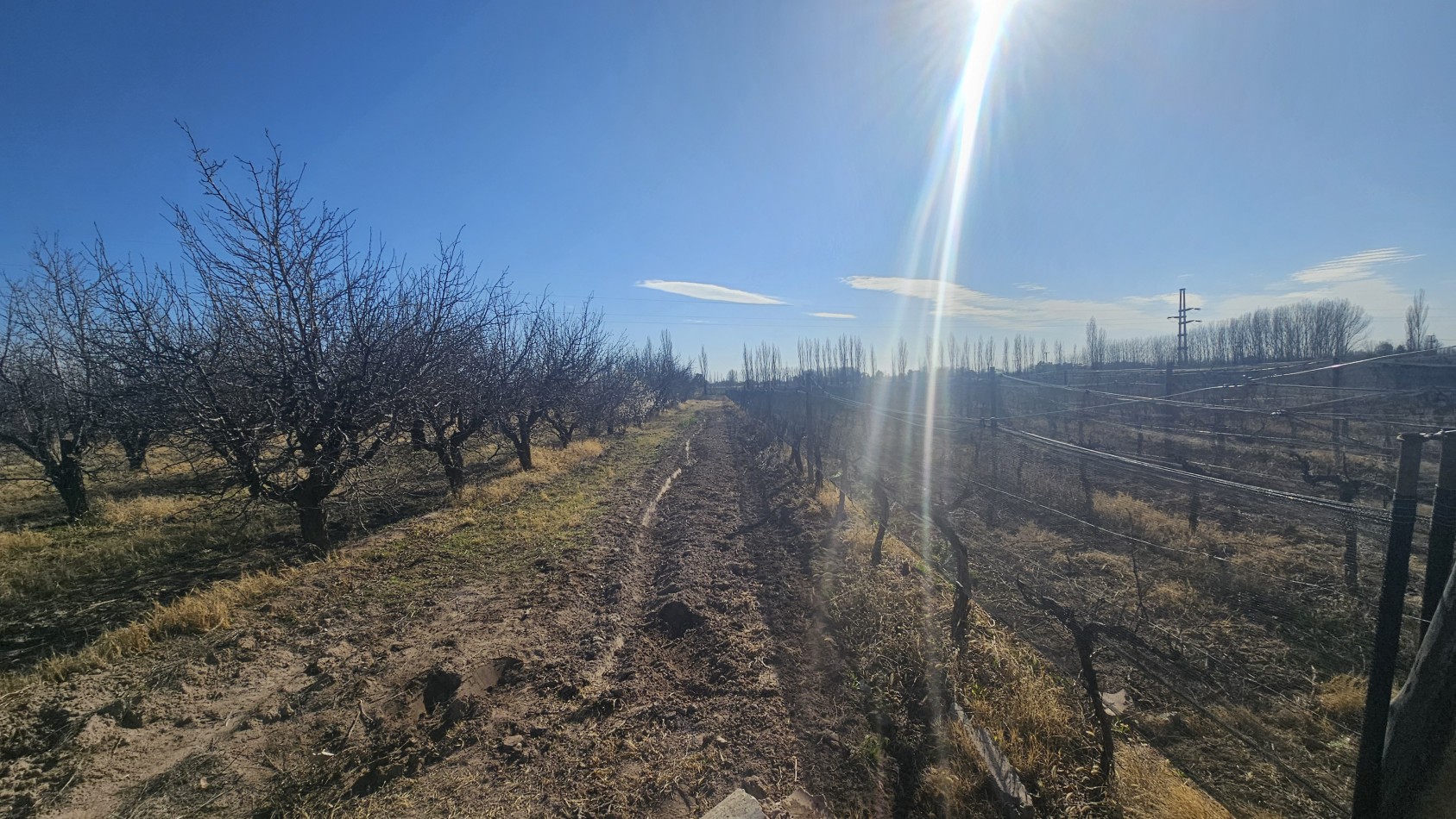 Vendo finca de 20 has ideal vista y en produccion en San Rafaeln