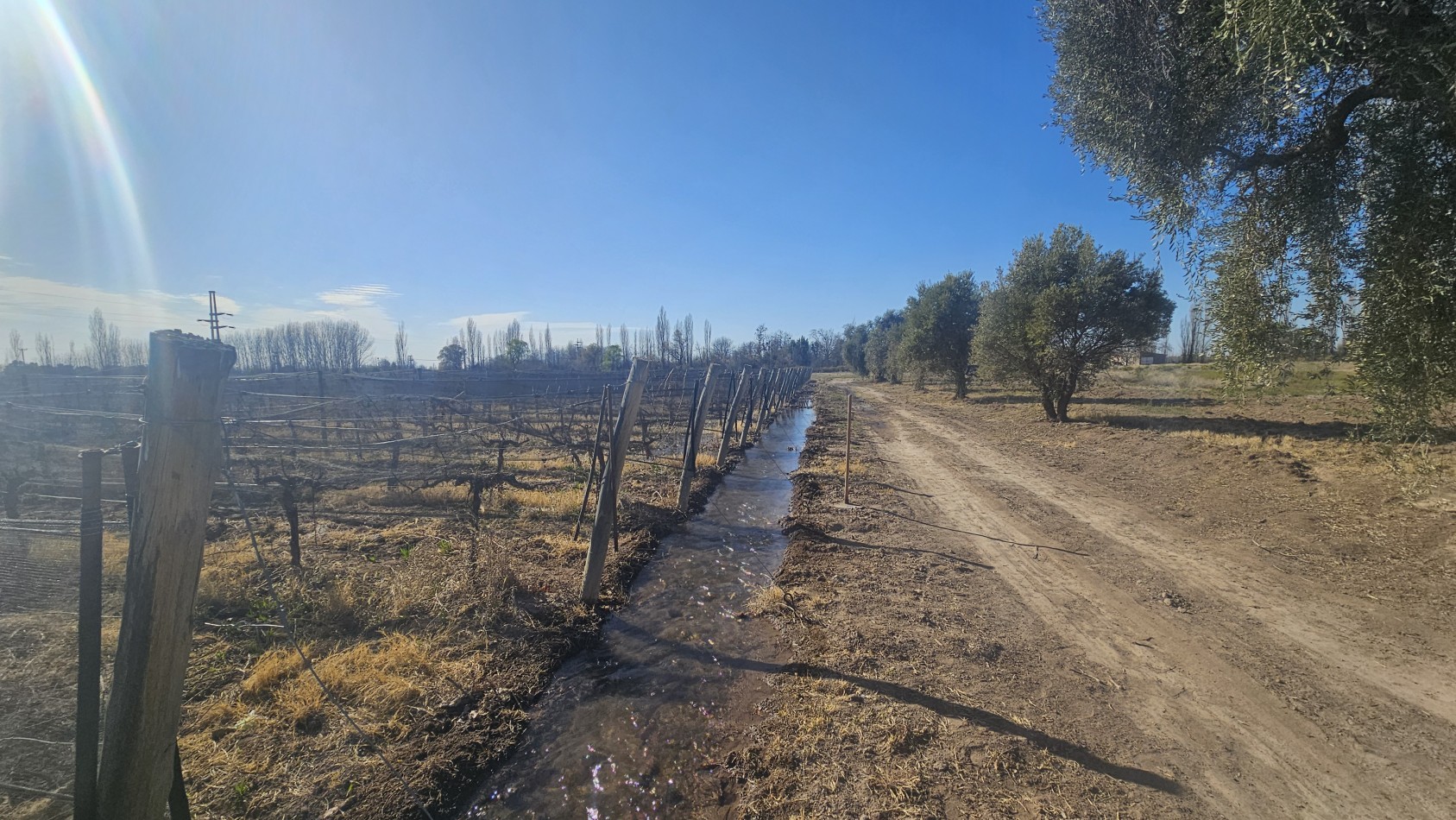 Vendo finca de 20 has ideal vista y en produccion en San Rafaeln