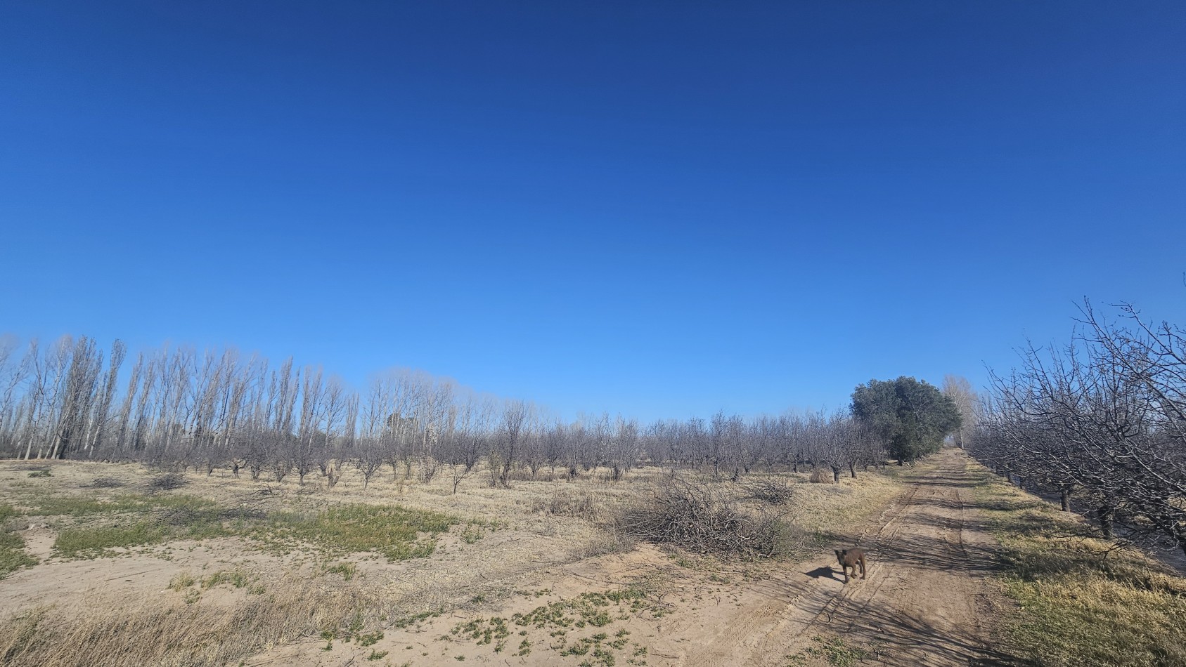 Vendo finca de 20 has ideal vista y en produccion en San Rafaeln