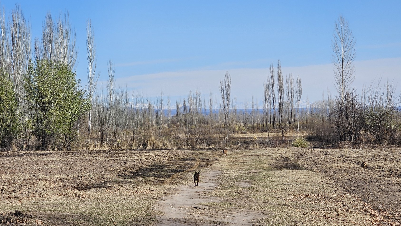 Vendo finca de 20 has ideal vista y en produccion en San Rafaeln