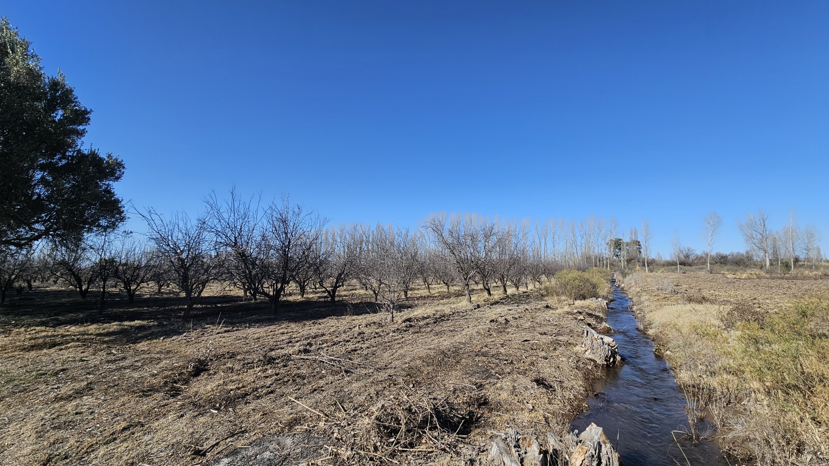 Vendo finca de 20 has ideal vista y en produccion en San Rafaeln