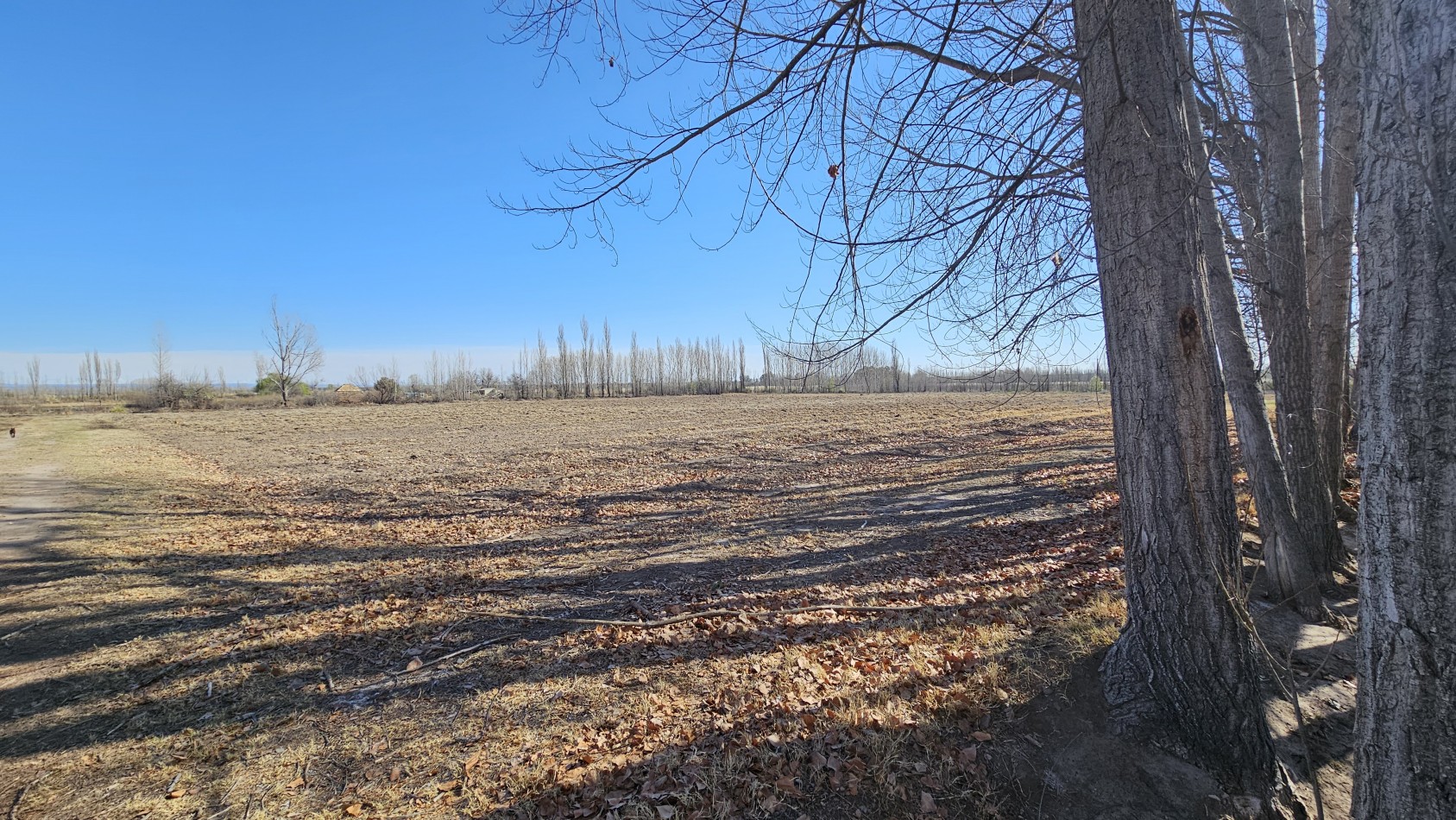Vendo finca de 20 has ideal vista y en produccion en San Rafaeln