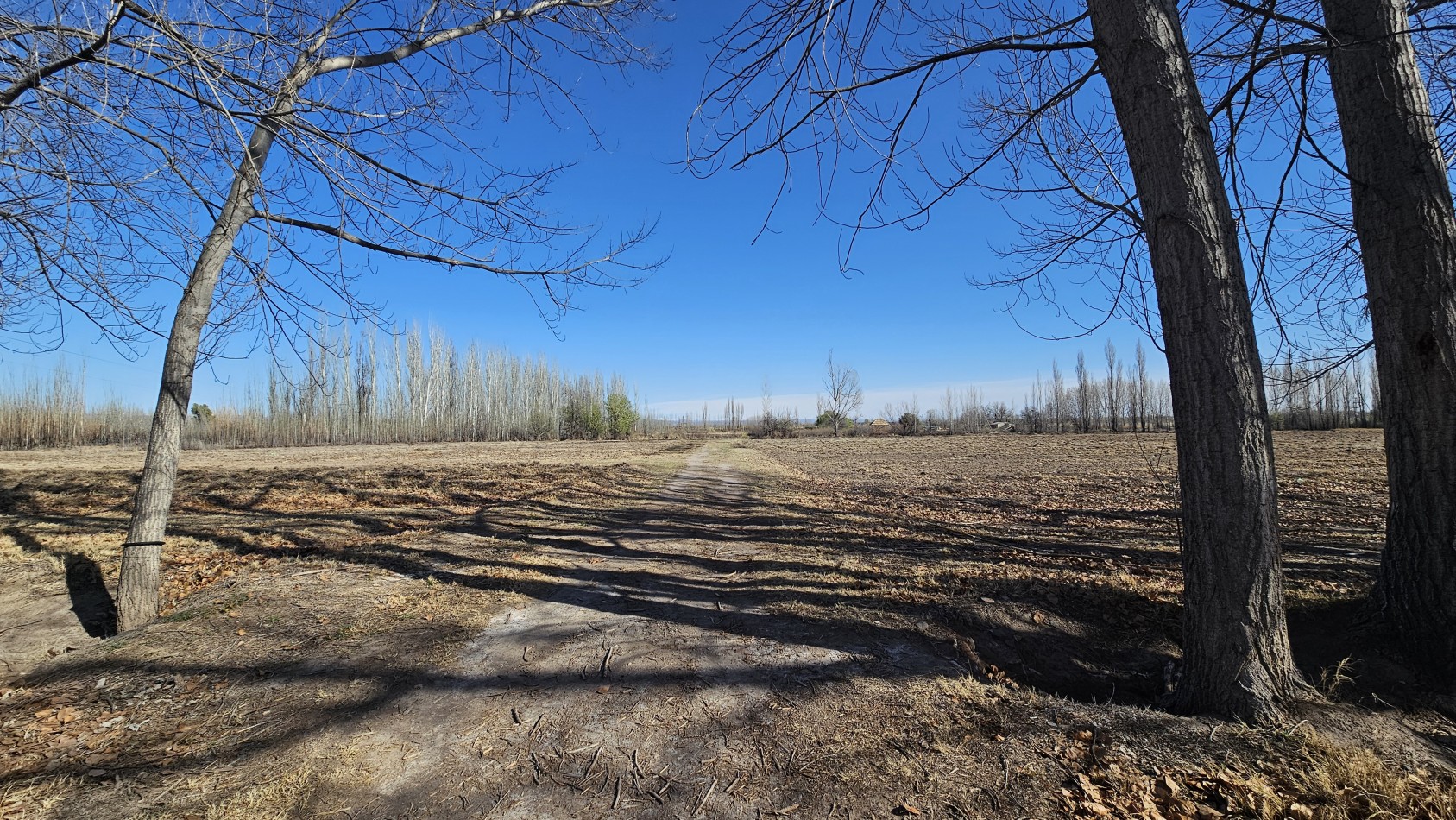 Vendo finca de 20 has ideal vista y en produccion en San Rafaeln