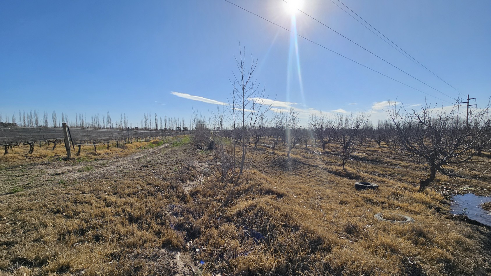 Vendo finca de 20 has ideal vista y en produccion en San Rafaeln