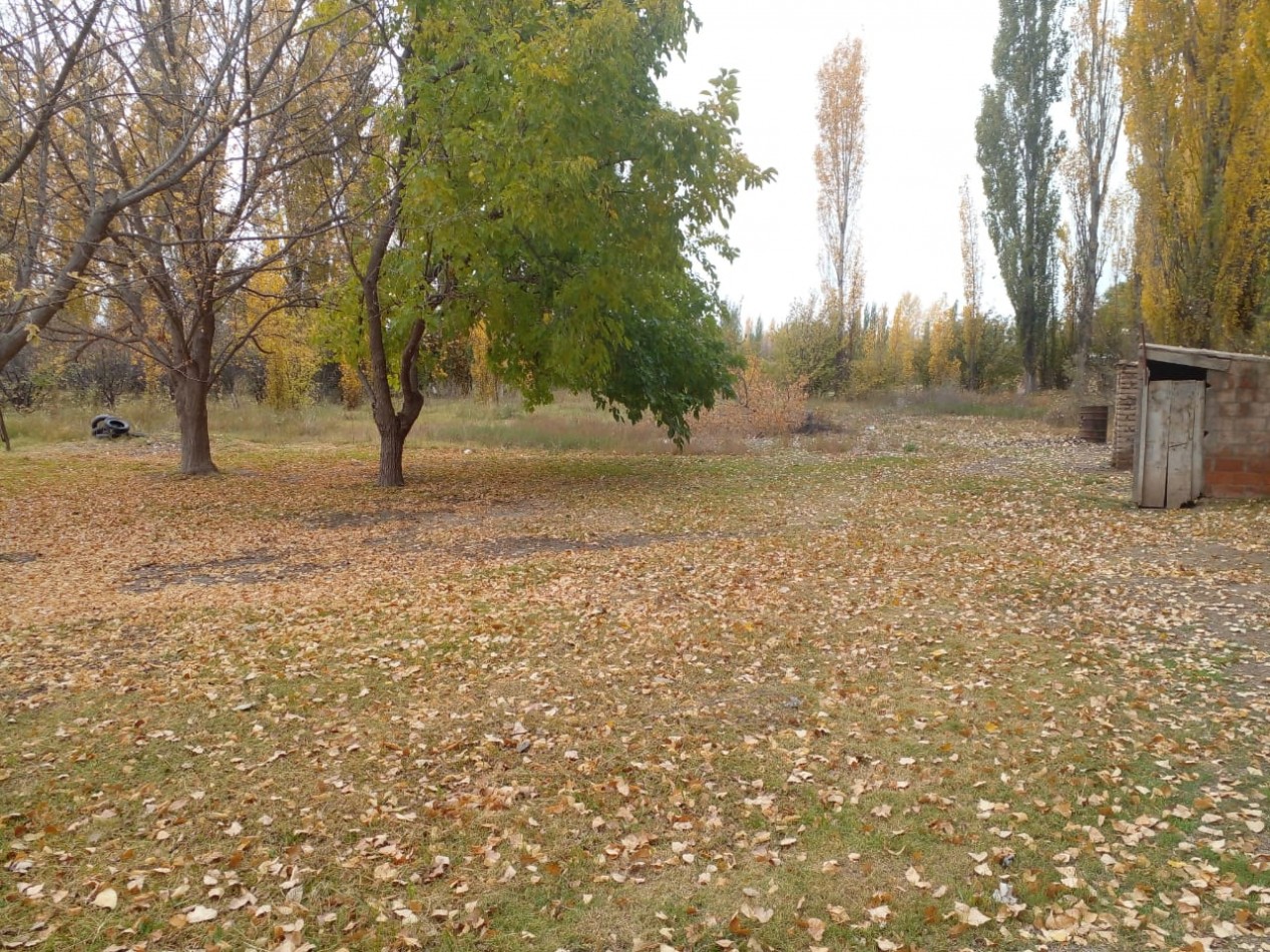 Finca en Venta en C. Benegas, San Rafael - Ideal para Vivir o Emprender