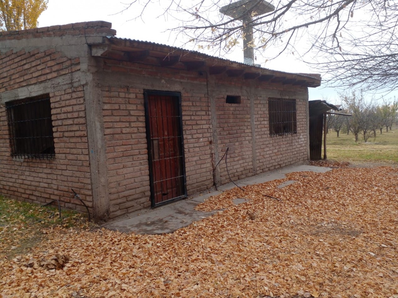 Finca en Venta en C. Benegas, San Rafael - Ideal para Vivir o Emprender