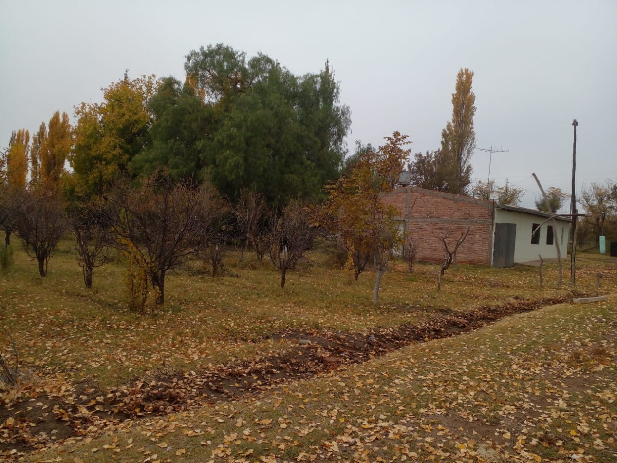 Finca en Venta en C. Benegas, San Rafael - Ideal para Vivir o Emprender