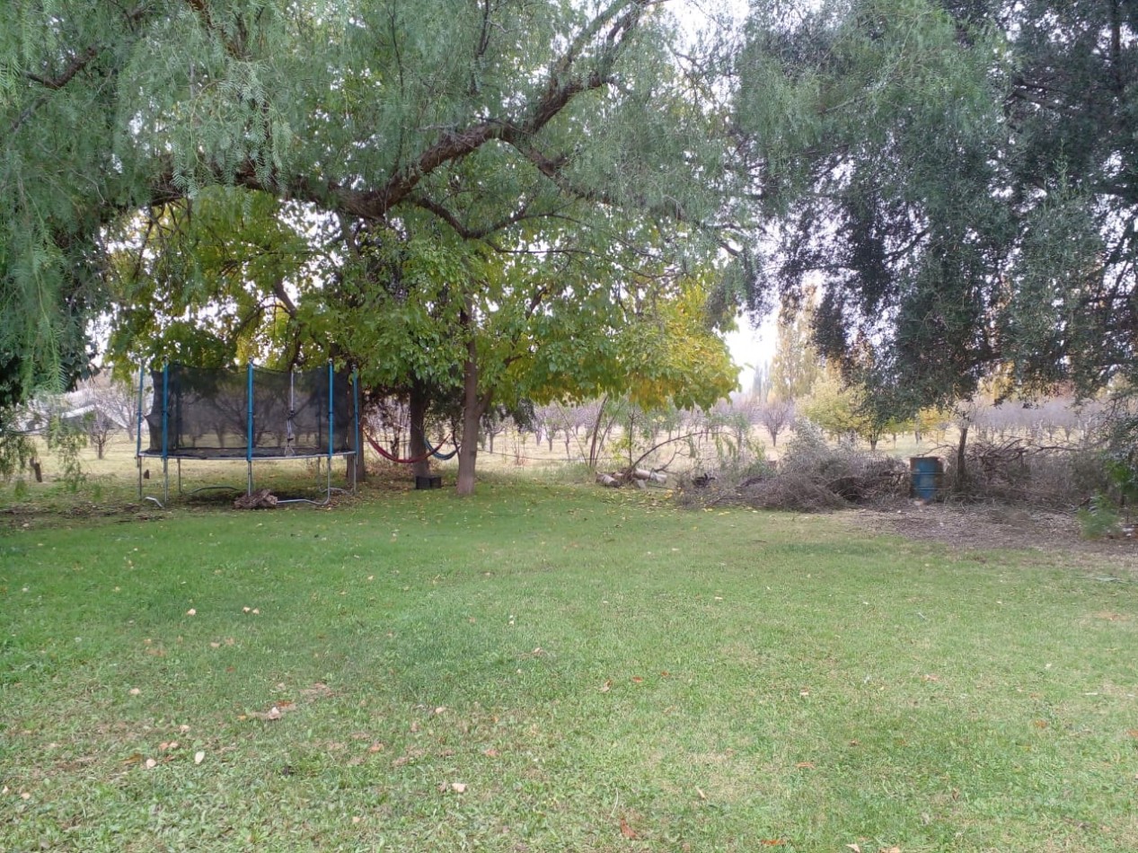 Finca en Venta en C. Benegas, San Rafael - Ideal para Vivir o Emprender