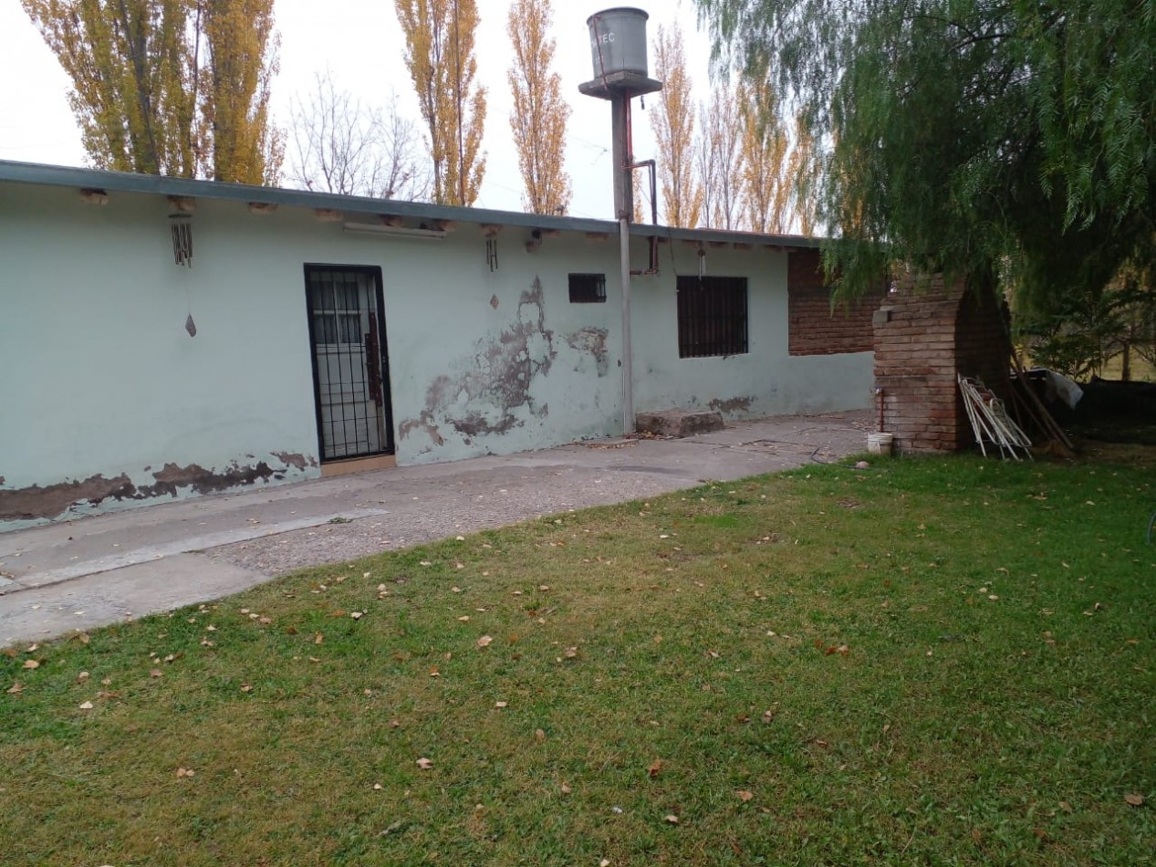 Finca en Venta en C. Benegas, San Rafael - Ideal para Vivir o Emprender