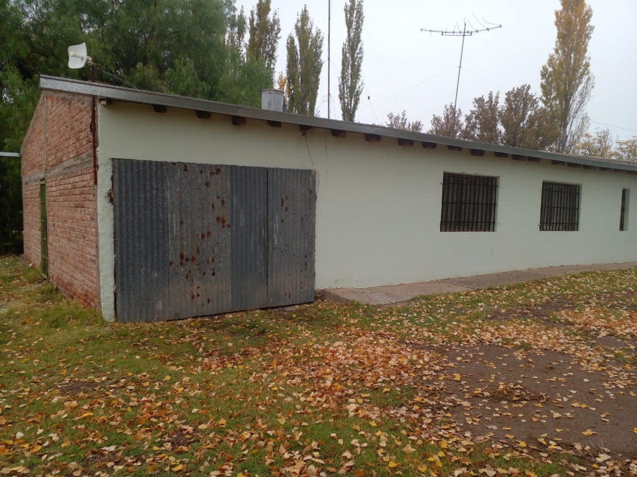 Finca en Venta en C. Benegas, San Rafael - Ideal para Vivir o Emprender