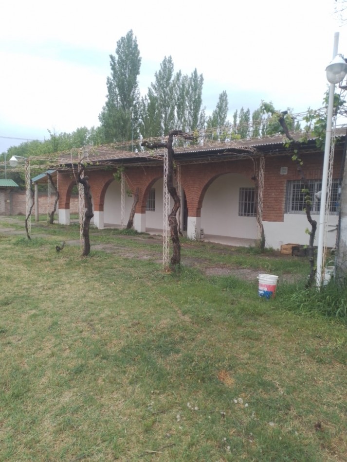 Oportunidad! Finca con Casona grande de 5 hectareas con ciruela en Rama Caida, San Rafael - galpon