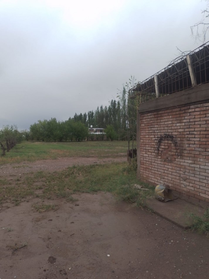 Oportunidad! Finca con Casona grande de 5 hectareas con ciruela en Rama Caida, San Rafael - galpon