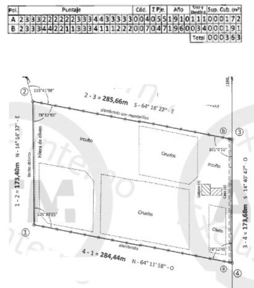 Oportunidad! Finca con Casona grande de 5 hectareas con ciruela en Rama Caida, San Rafael - galpon