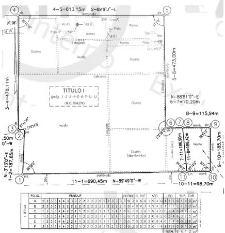 VENDO FINCA 42 has en San Rafael con Casa Patonal 4 dormitorios + Piscina + Galpones + prod de Ciruela distrito Salto de las Rosas