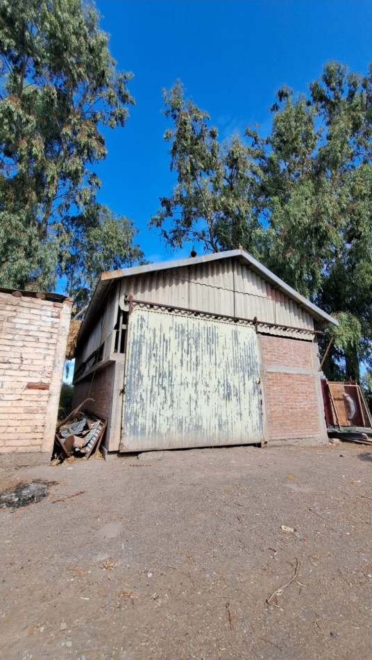 VENDO FINCA 42 has en San Rafael con Casa Patonal 4 dormitorios + Piscina + Galpones + prod de Ciruela distrito Salto de las Rosas