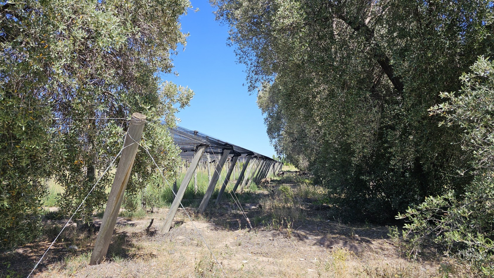 Vendo propiedad de 10.8 has con Bodega sobre Ruta 144 a menos de 4.5 km de San Rafael