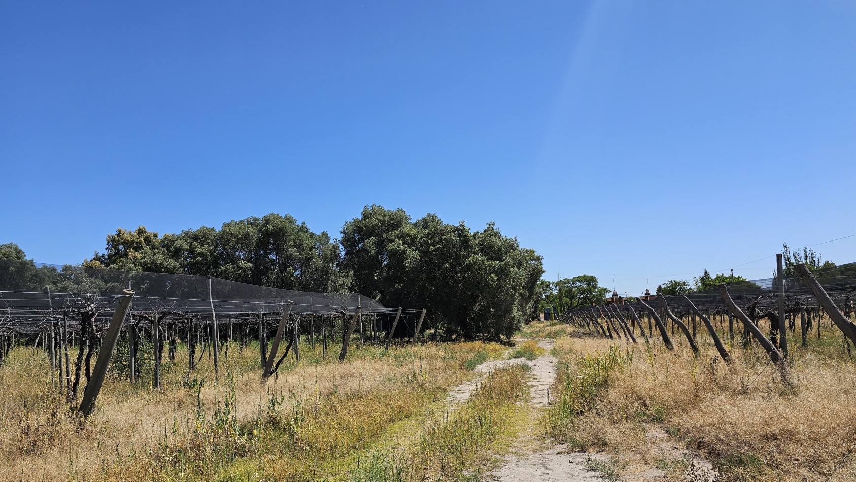 Vendo propiedad de 10.8 has con Bodega sobre Ruta 144 a menos de 4.5 km de San Rafael