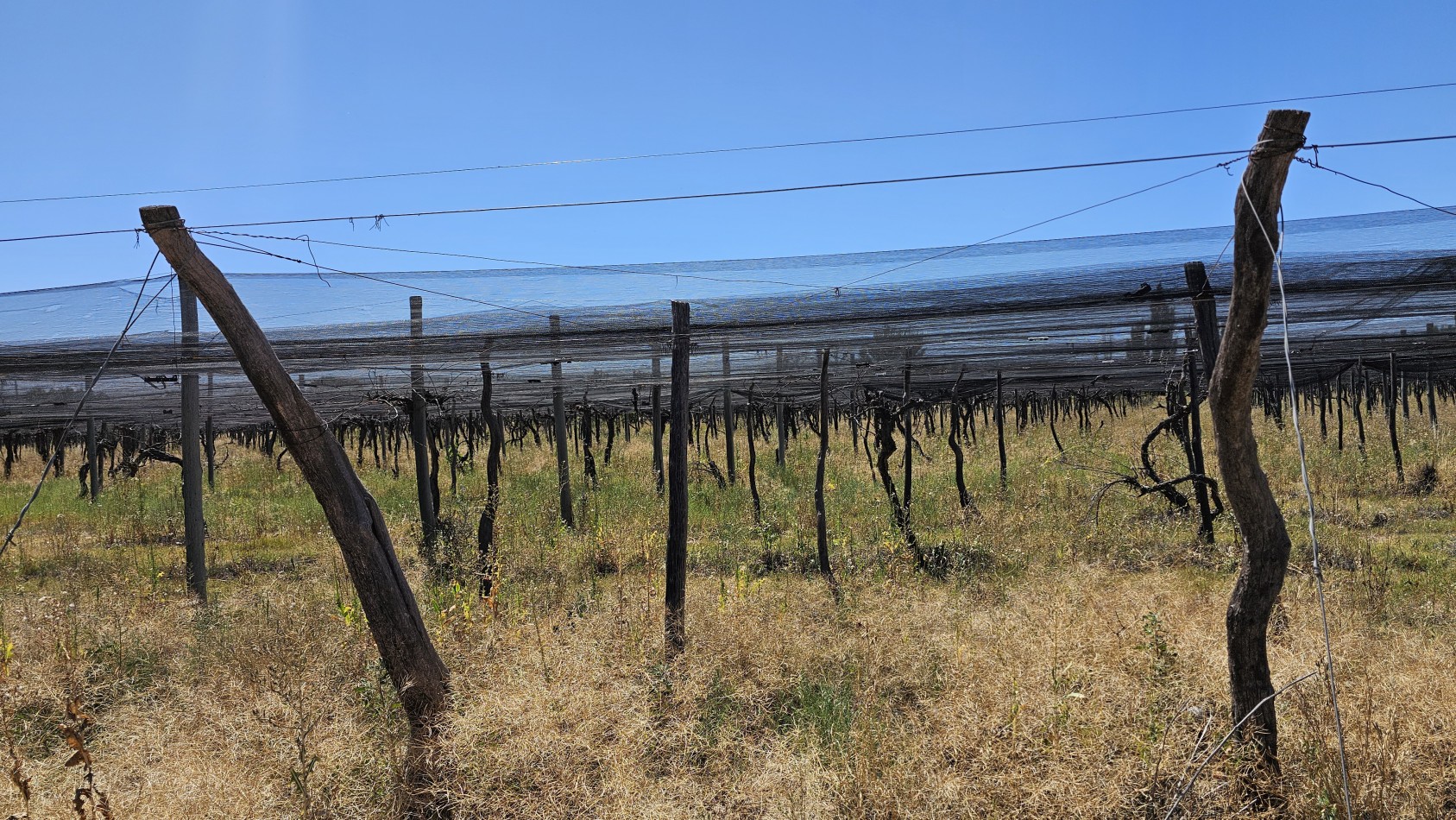 Vendo propiedad de 10.8 has con Bodega sobre Ruta 144 a menos de 4.5 km de San Rafael