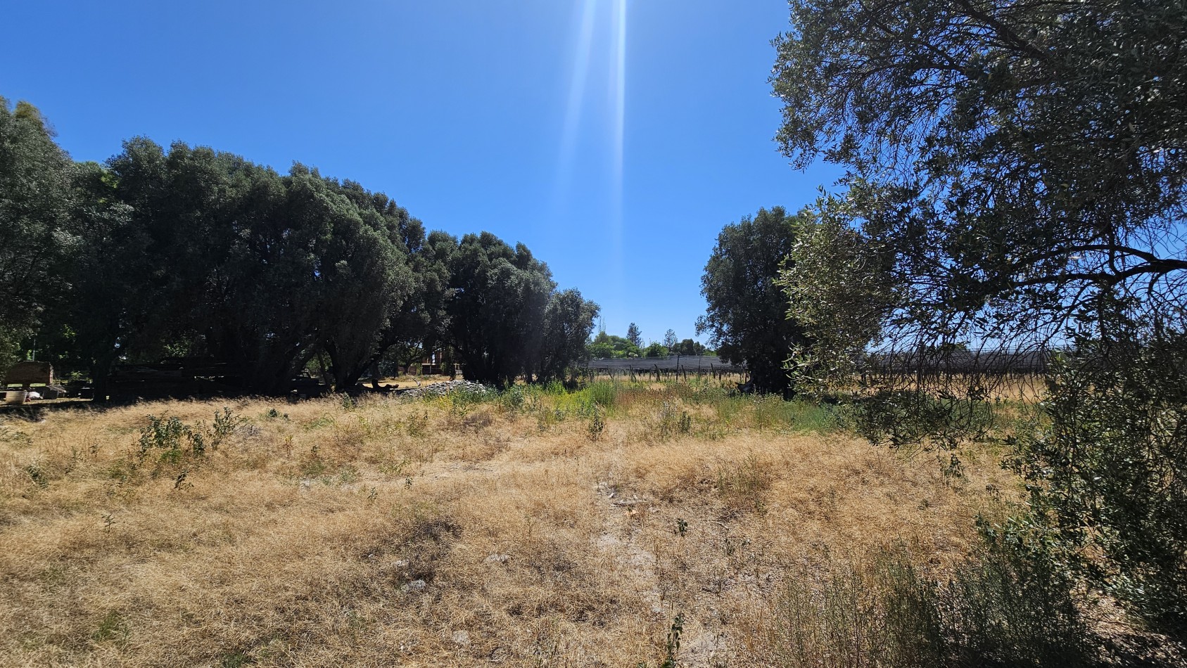 Vendo propiedad de 10.8 has con Bodega sobre Ruta 144 a menos de 4.5 km de San Rafael