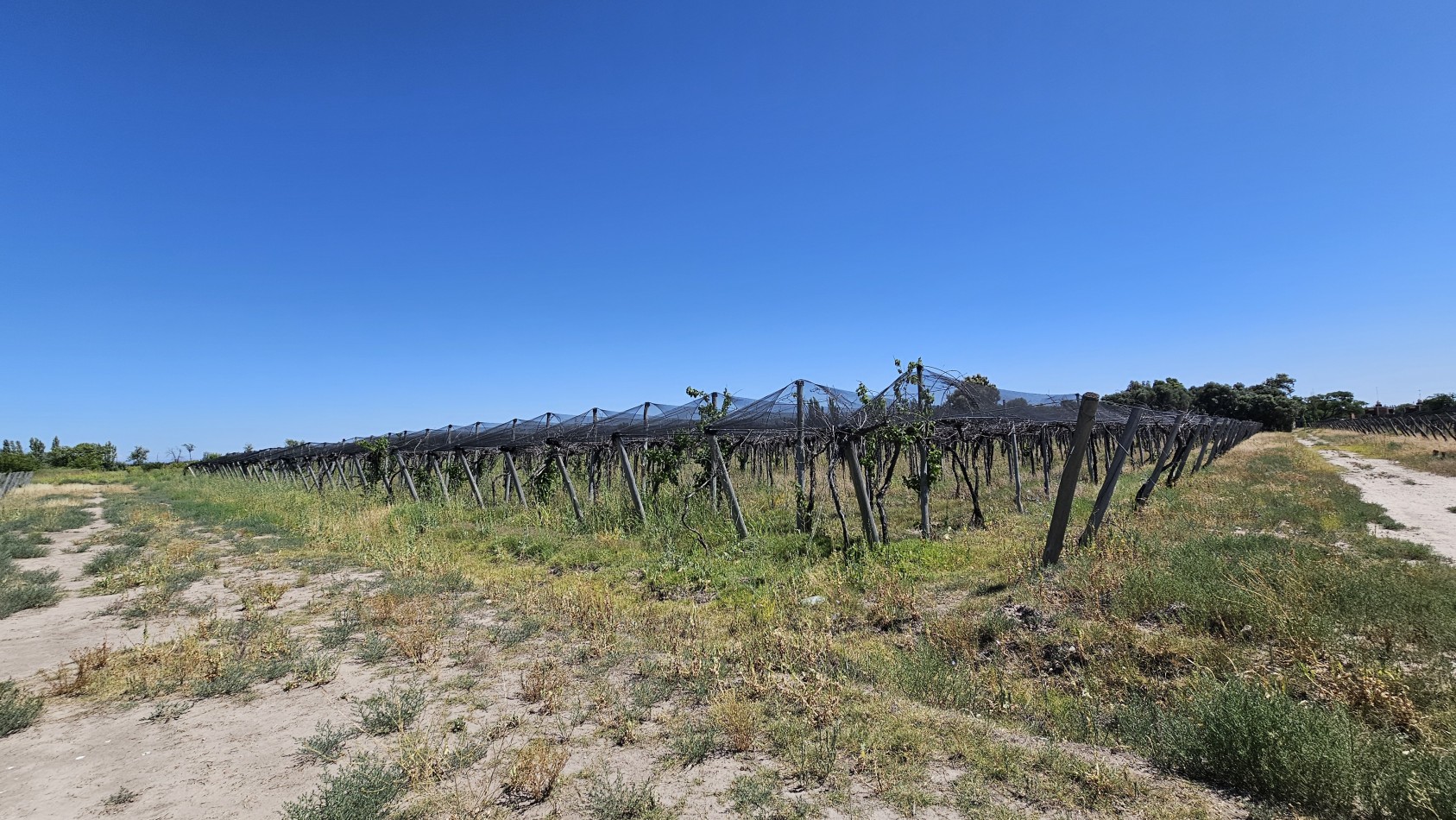 Vendo propiedad de 10.8 has con Bodega sobre Ruta 144 a menos de 4.5 km de San Rafael