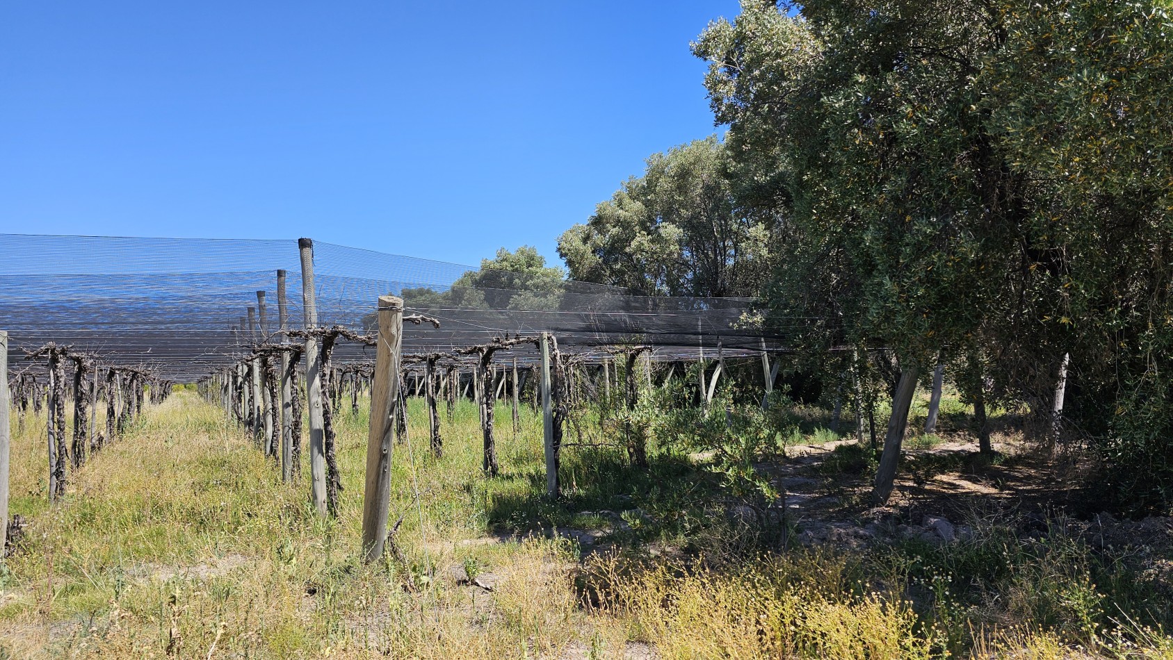 Vendo propiedad de 10.8 has con Bodega sobre Ruta 144 a menos de 4.5 km de San Rafael