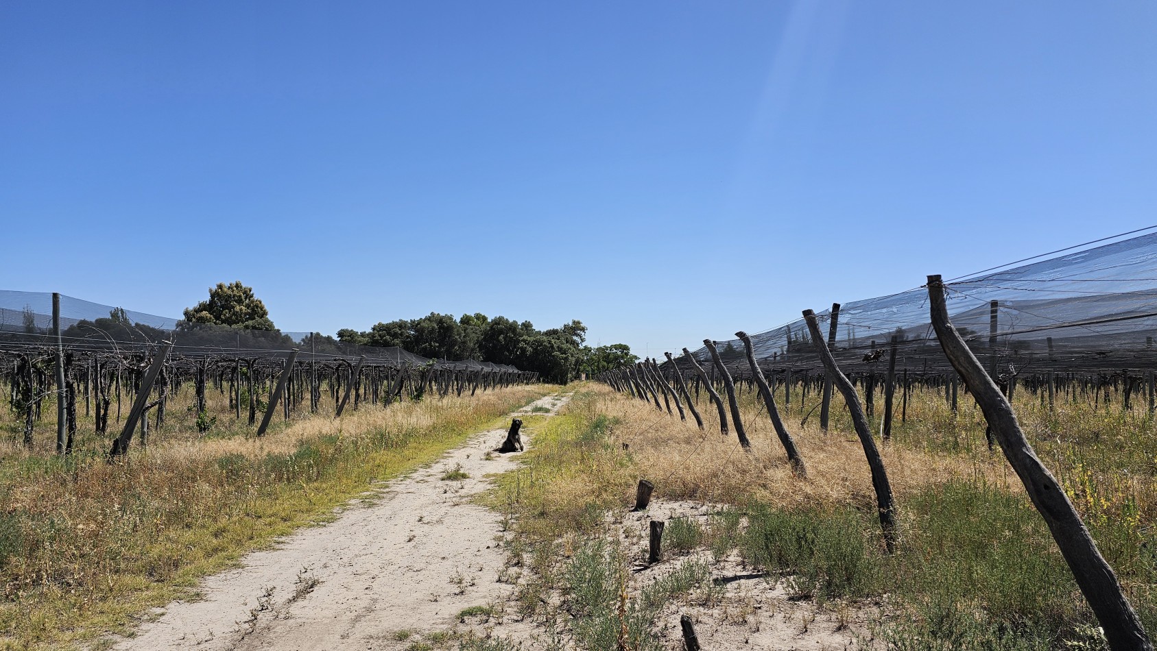 Vendo propiedad de 10.8 has con Bodega sobre Ruta 144 a menos de 4.5 km de San Rafael