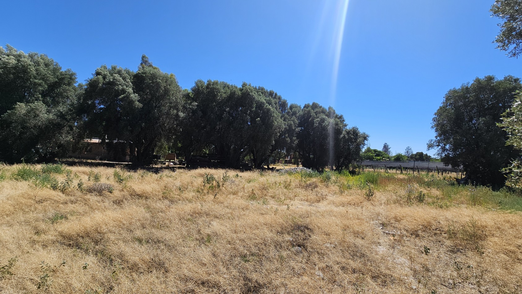 Vendo propiedad de 10.8 has con Bodega sobre Ruta 144 a menos de 4.5 km de San Rafael
