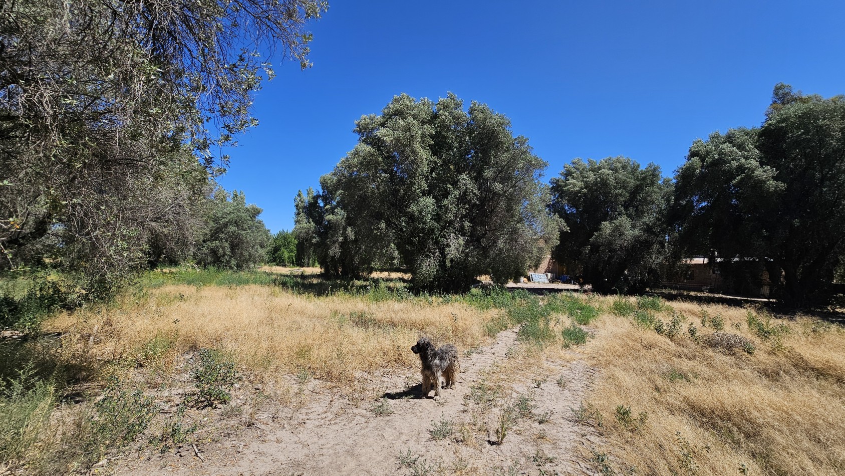 Vendo propiedad de 10.8 has con Bodega sobre Ruta 144 a menos de 4.5 km de San Rafael
