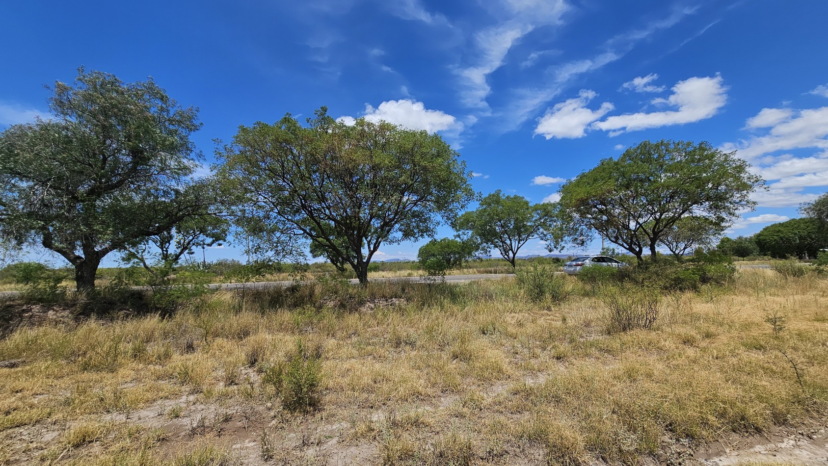 Oportunidad vendo Finca o campo de 66 has zona Turistica Ruta 150