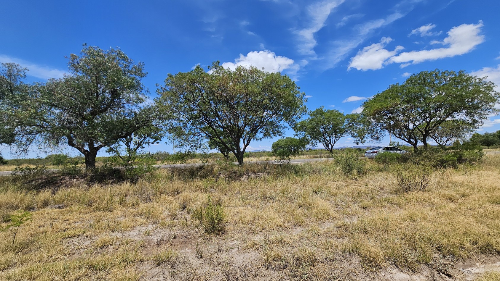 Oportunidad vendo Finca o campo de 66 has zona Turistica Ruta 150