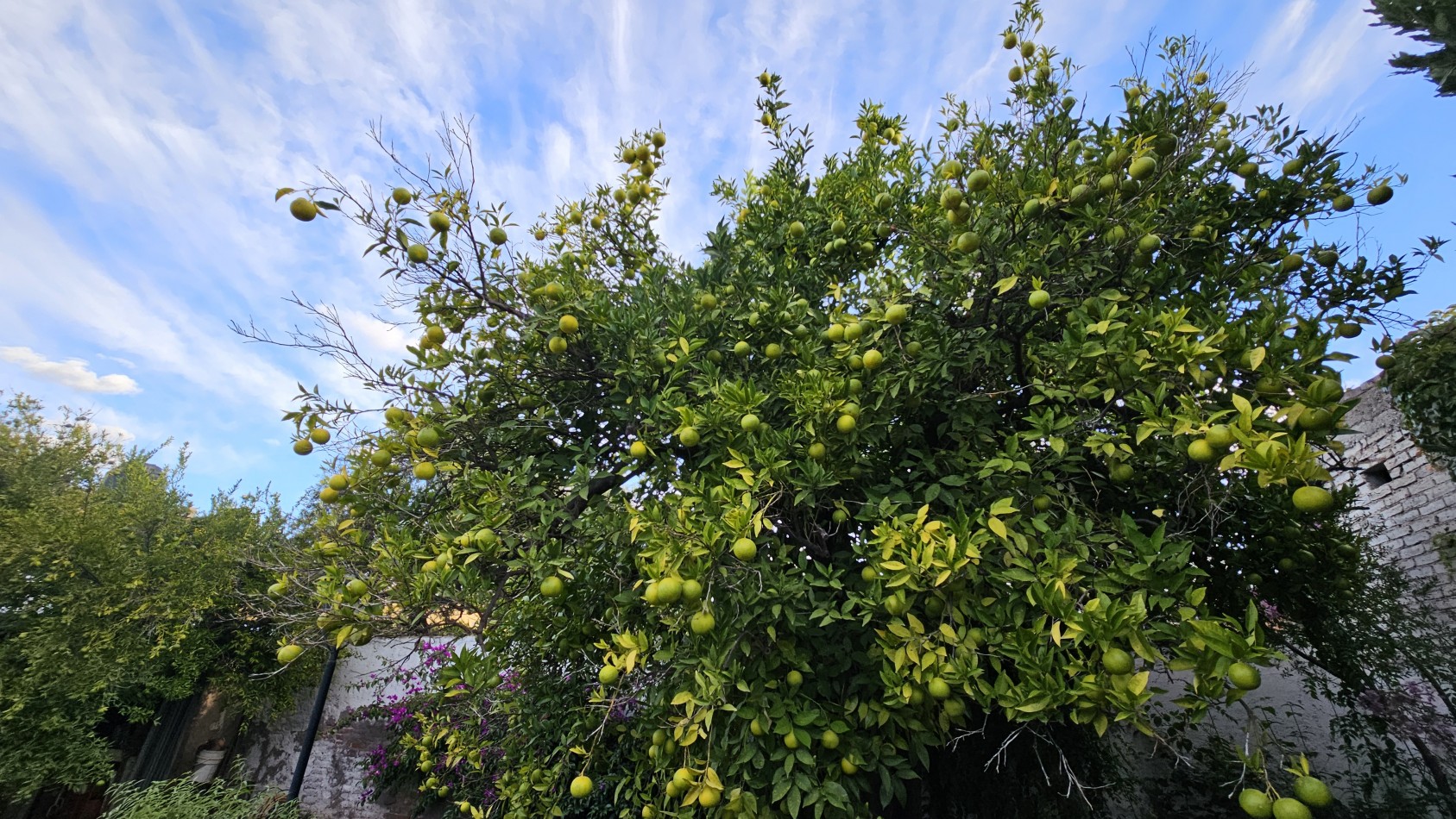 Casa + Depto apta credico Centrica y zona Poder Judicial 