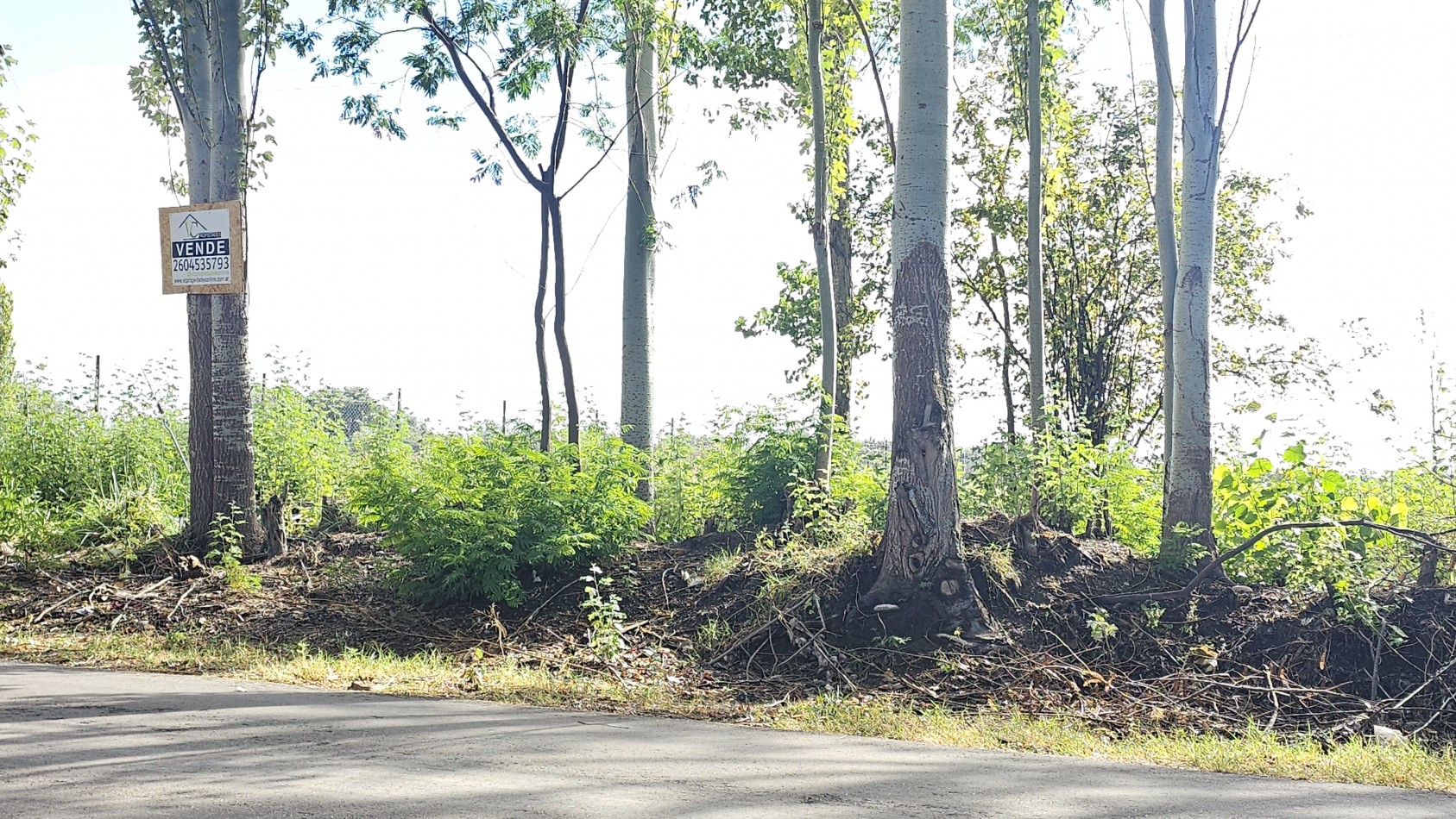 Vendo lote Amplio terreno en calle Costanzo San Rafael 2150 m²