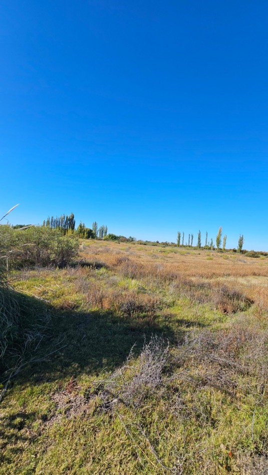 ¡EXCELENTE OPORTUNIDAD DE INVERSION EN SAN RAFAEL!  Se venden 4 hectareas ideales para loteo.