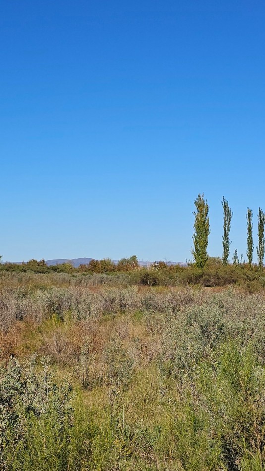 ¡EXCELENTE OPORTUNIDAD DE INVERSION EN SAN RAFAEL!  Se venden 4 hectareas ideales para loteo.