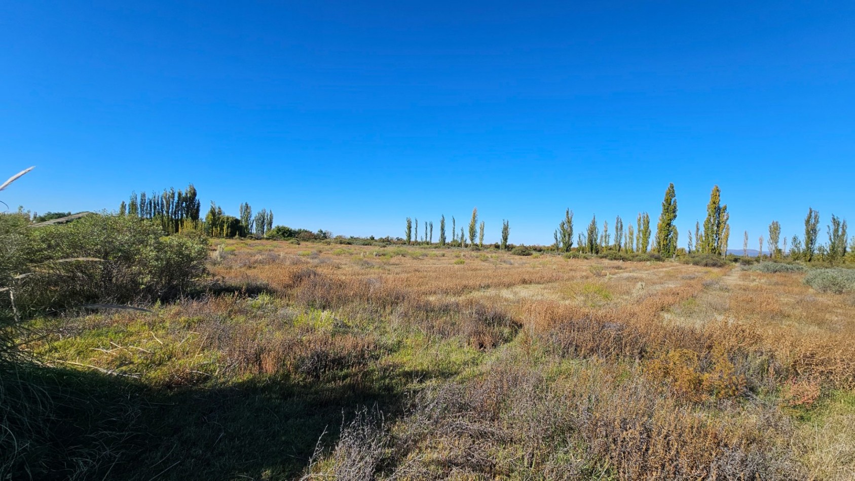 ¡EXCELENTE OPORTUNIDAD DE INVERSION EN SAN RAFAEL!  Se venden 4 hectareas ideales para loteo.