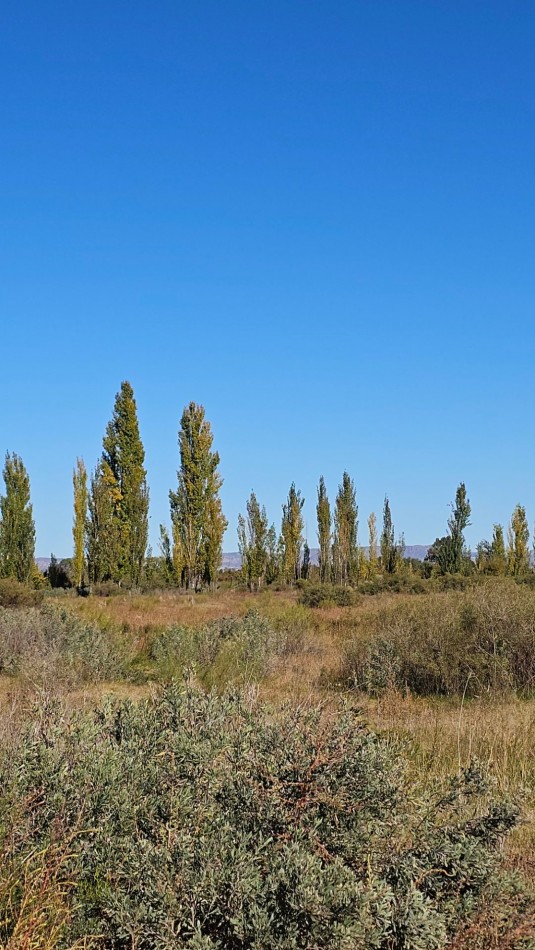 ¡EXCELENTE OPORTUNIDAD DE INVERSION EN SAN RAFAEL!  Se venden 4 hectareas ideales para loteo.