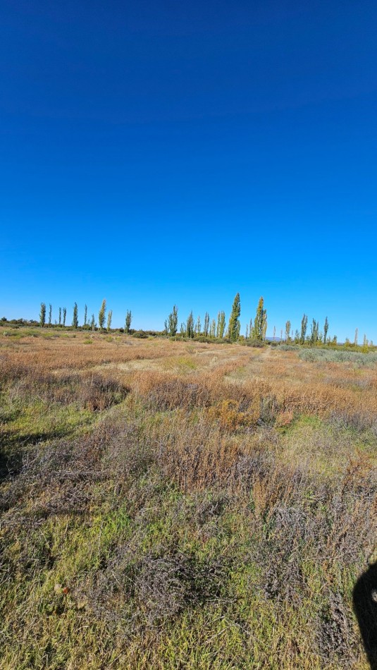 ¡EXCELENTE OPORTUNIDAD DE INVERSION EN SAN RAFAEL!  Se venden 4 hectareas ideales para loteo.
