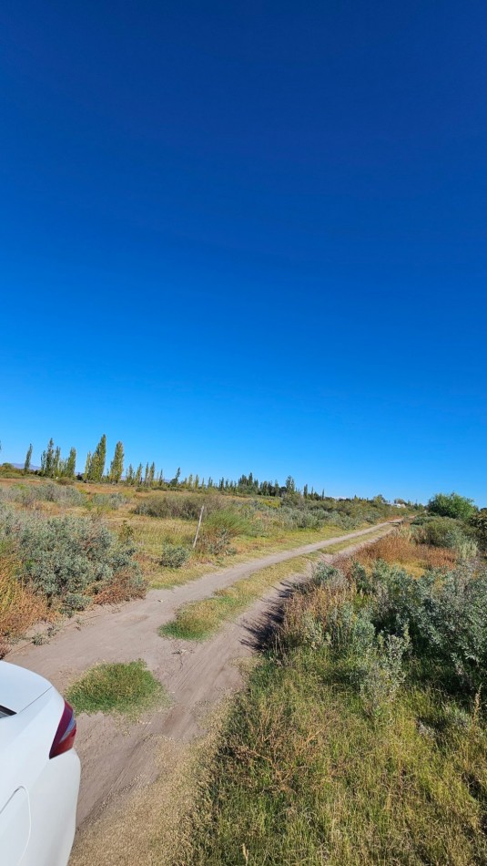 ¡EXCELENTE OPORTUNIDAD DE INVERSION EN SAN RAFAEL!  Se venden 4 hectareas ideales para loteo.