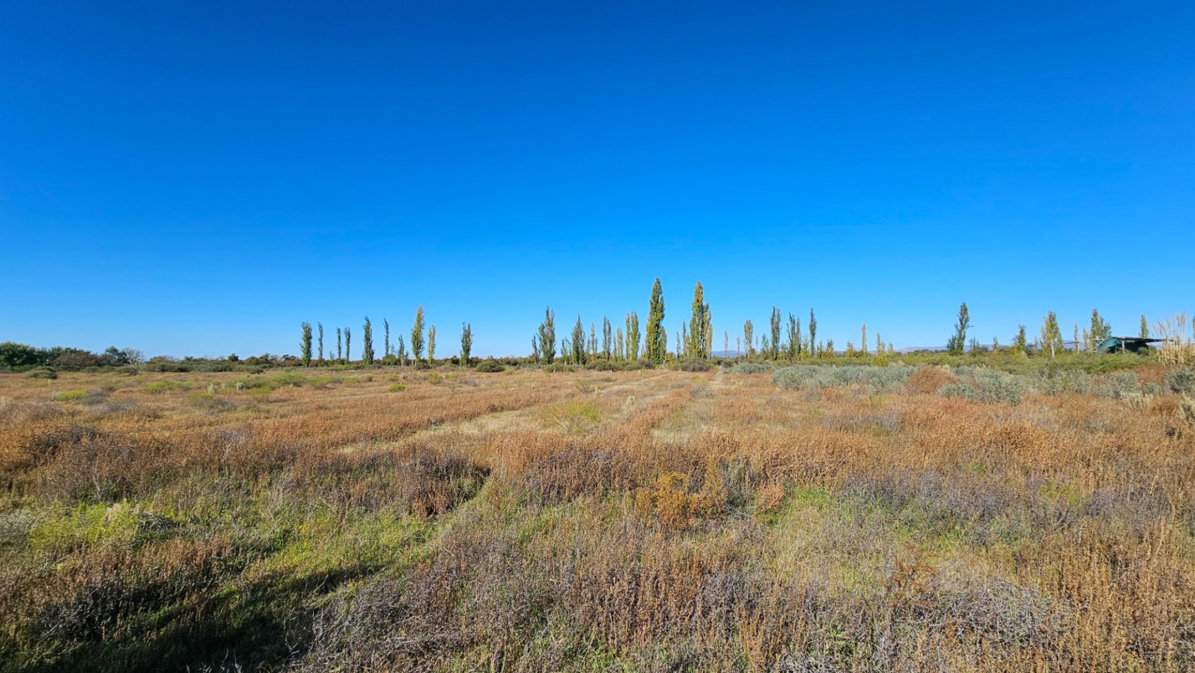 ¡EXCELENTE OPORTUNIDAD DE INVERSION EN SAN RAFAEL!  Se venden 4 hectareas ideales para loteo.