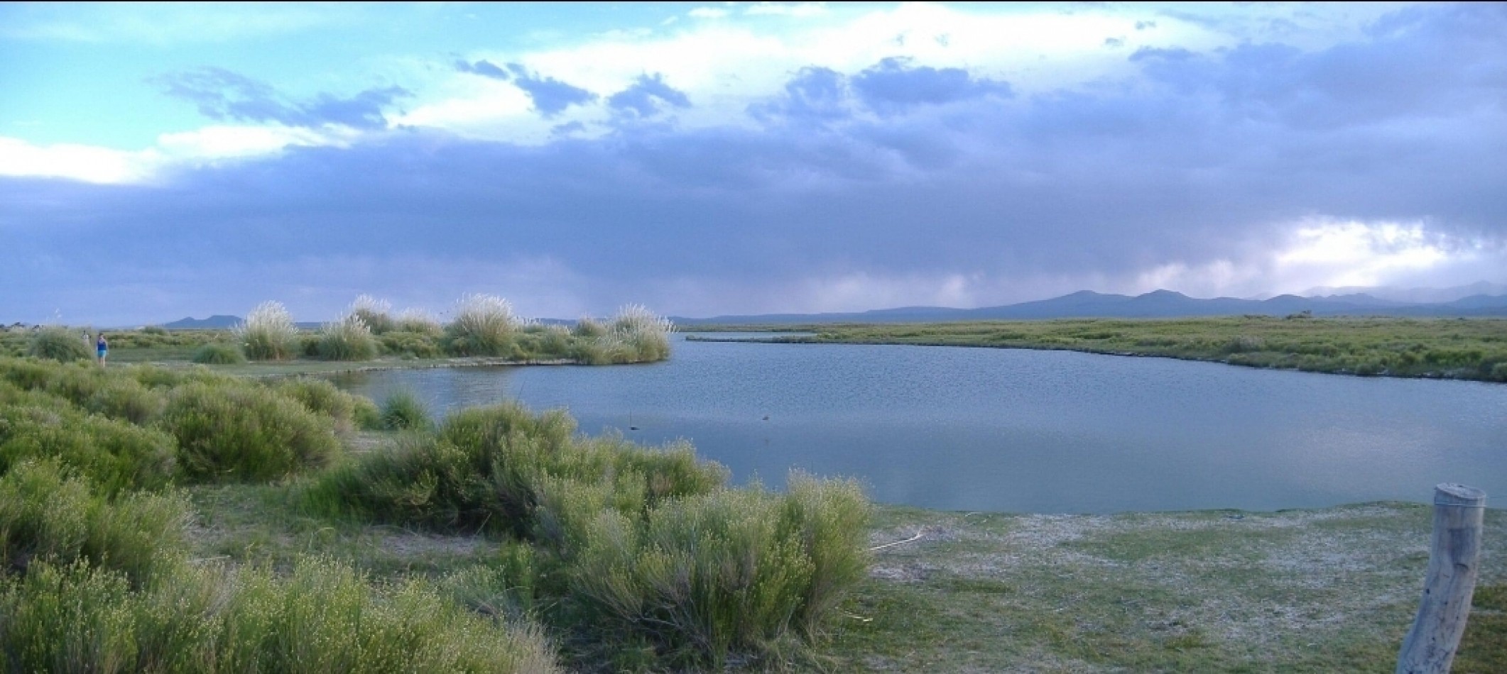 VENDO PUESTO DE 4 HECTAREAS EN LAGUNA LLANCANELO - MALARGUE, MENDOZA 