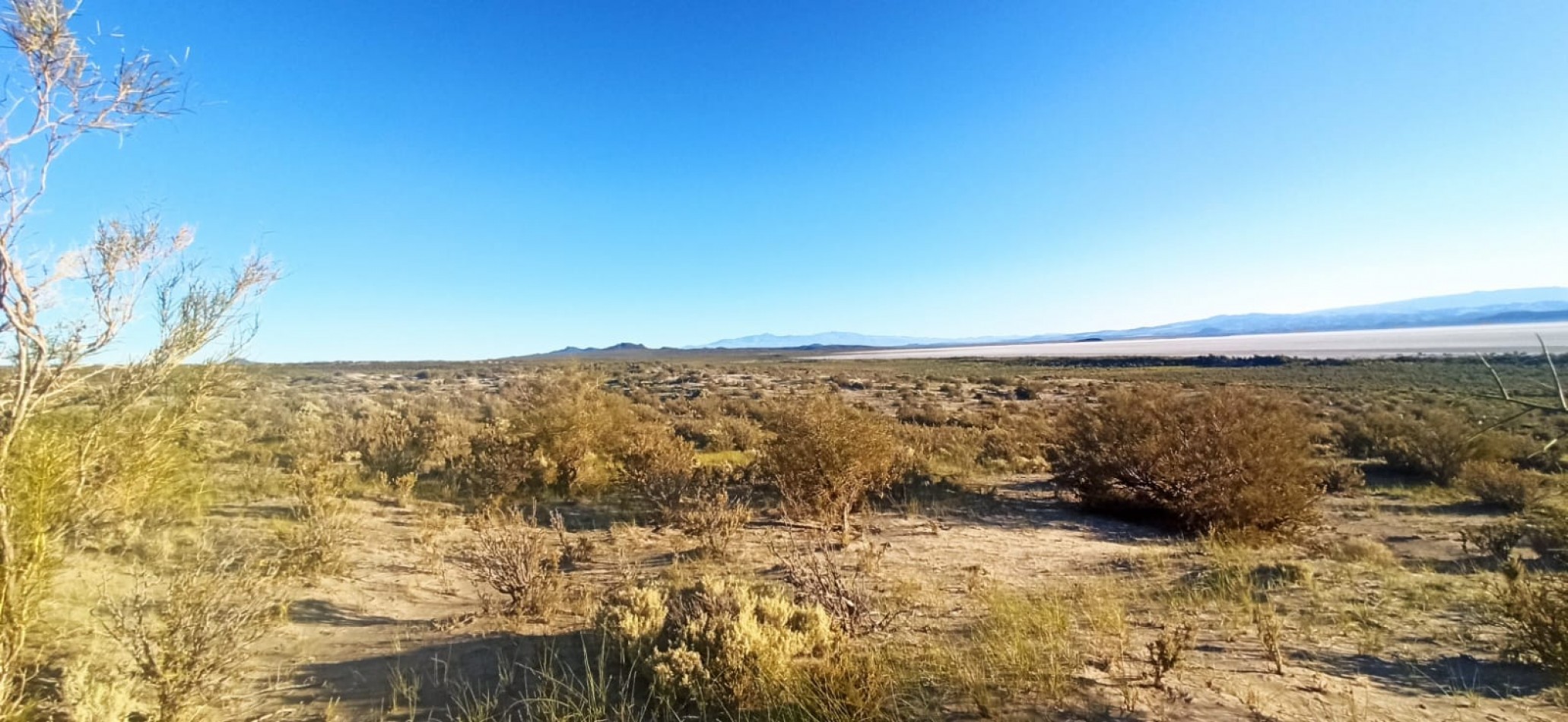 VENDO PUESTO DE 4 HECTAREAS EN LAGUNA LLANCANELO - MALARGUE, MENDOZA 