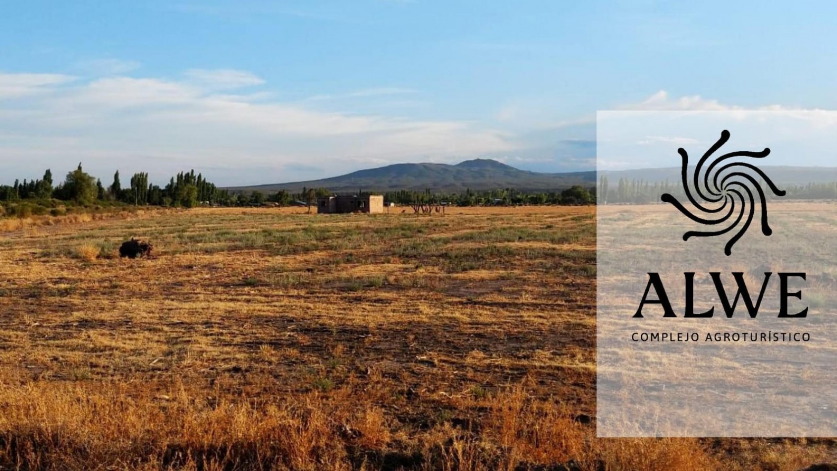¡OFERTA! VENDO 3 LOTES DE 970 m² - RAMA CAIDA, SAN RAFAEL Ejercito de Los Andes